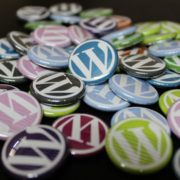 how to update your wordpress