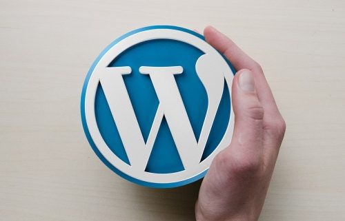 WordPress wird global eingesetzt