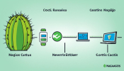 Cacti vs. Nagios