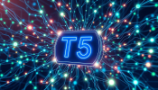 T5