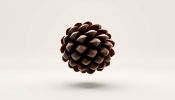 was ist pinecone